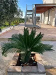 SELINUNTHIA Country House - Wifi