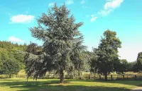 MANOIR DES HERBES