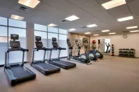 SpringHill Suites El Paso Airport