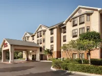 Hampton Inn & Suites Tarpon Springs Hotele w: Pinellas County