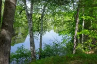 Spacious 5-bedroom house in serene Clam Lake with WiFi