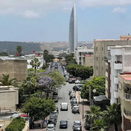 Charming 1-bedroom apartment HassanTowerView