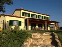 Villa with pool in Capalbio 6 rooms 6 bathrooms immersed in olive grove