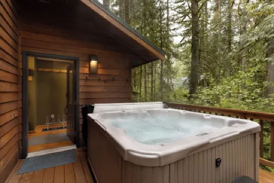 Family Cabin on Quiet Cul-de-Sac with Hot Tub and Cedar Sauna near Mt Baker