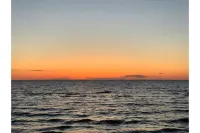 Cozy Pet-Friendly Beach Cottage 2 Blocks from the Bay