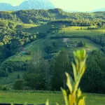 Sub Stele Chalets Hotels in Vulcan