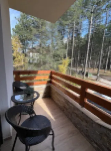 Apartment Pineta Zlatibor 3 minutes to the lake