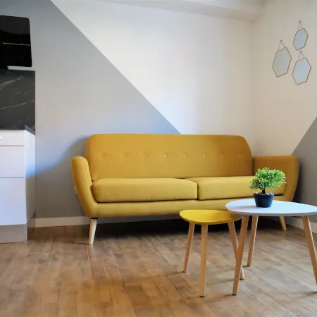 Completely renovated modern apartment