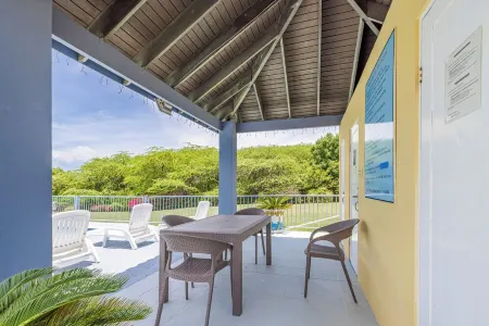 Tropical, Bikes, Bio Bay & Vibes, Top Location