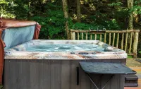 Roan Mountain Charming Cabin Hot Tub Close to Hiking Dogs Welcome