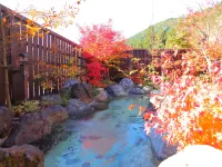 Yumoto Sugishima Hotel a Seki