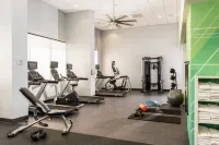 Holiday Inn PHOENIX-MESA/CHANDLER by IHG - Gym