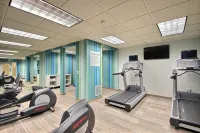 Holiday Inn Express & Suites MILWAUKEE AIRPORT by IHG - Gym