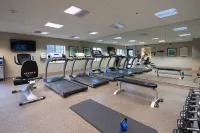Staybridge Suites WILMINGTON - BRANDYWINE VALLEY by IHG - gimnasio