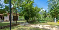 Buddhi's Grove