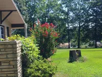 Ideal Ozark Getaway in Tranquil Horseshoe Bend Hotels in Izard County