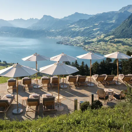 Hotel Villa Honegg