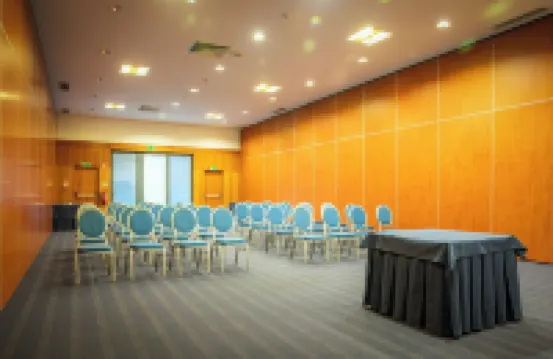 VIP Executive Santa Iria Hotel