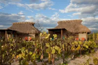 Hotel Escondido, Puerto Escondido - Adults Only - 4-Star