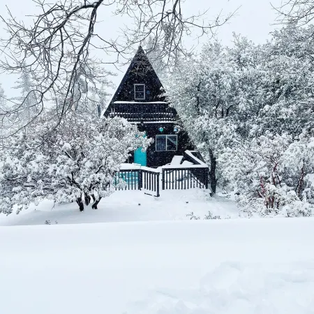 Dog Friendly A-Frame Hot Tub Nature Views
