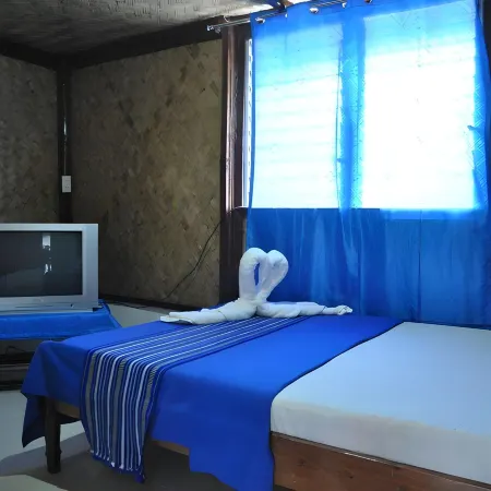 Tabibi's  BedSpace Rental