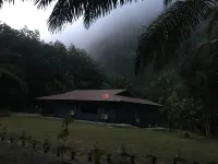 Peaceful house surrounding by nature Krabi Province - Homestays