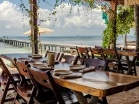 Mayan Monkey Isla Mujeres - Social Hotel Hotels in Isla Mujeres