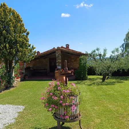 Farmhouse in Tuscany with Olive Grove Views