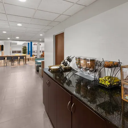 Microtel Inn & Suites by Wyndham Baton Rouge Airport