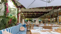 Cayman Luxury Rentals at the Grove