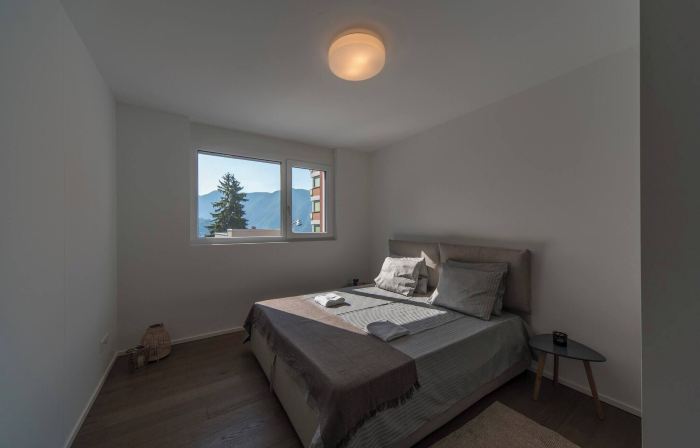 Vacation Rental City 10 in Massagno