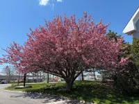 Hyannis Host Inn