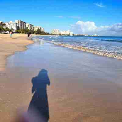 Breathtaking Ocean view 14th floor condo, 10 minutes from the airport Fitness & Recreational Facilities