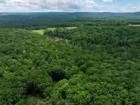 Secluded Cabin Retreat on 6 Acres w/ Fireplace, Trails, Creek & Record Player - 4-Star