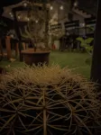 Hotel San José - 2 Yıldız