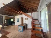 Gumbo Limbo - Seabreeze Apartment - Steps to the Ocean, Free Bikes, Free WiFi - Apartments