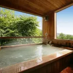 Gokan No Yu Tsuruya - con terme