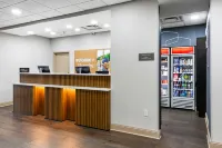 Hampton Inn & Suites Tampa-Wesley Chapel - Lemmikkieläimet sallittu