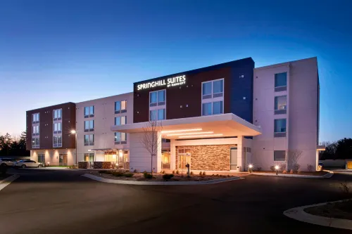 SpringHill Suites East Lansing University Area - Pools