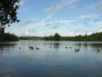 Abacus Bed and Breakfast, Blackwater, Hampshire - 2 ดาว