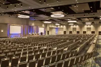 Embassy Suites Denton Convention Center - Pet friendly