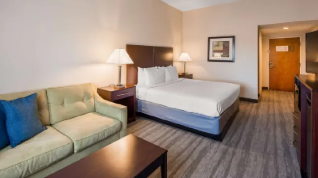 Best Western Tampa Hotels near South Tampa