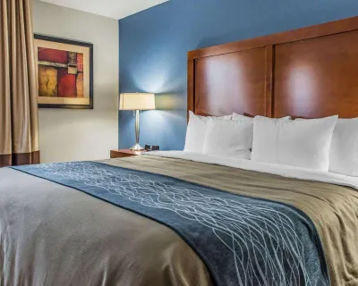 Comfort Inn Hotels in Elizabeth Township