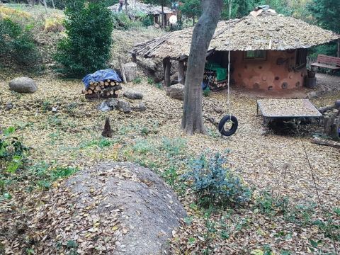 보성 생태마실민박펜션