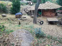 Boseong Saengtae Masil Pension