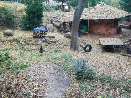 Boseong Saengtae Masil Pension Отели в г. Посон