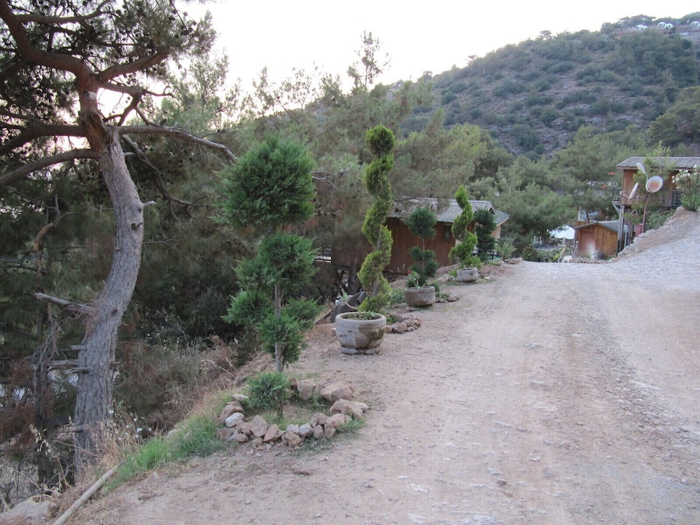 Tree Houses