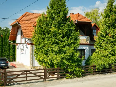 Tamas (Sza180)