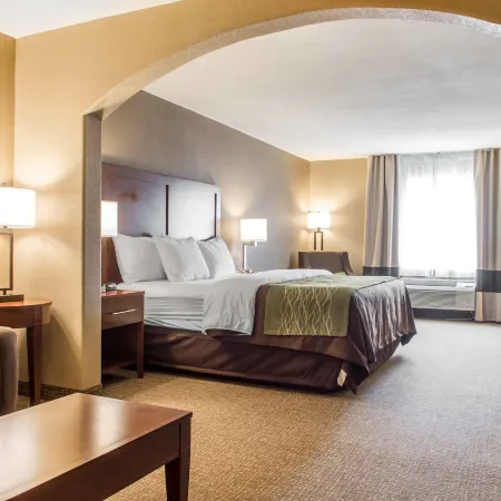 Comfort Inn Edinburg South