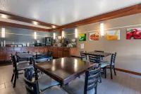 Quality Inn & Suites Warren Hotels in Warren